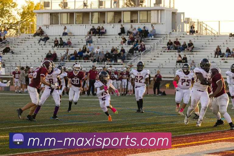 App Interface Preview